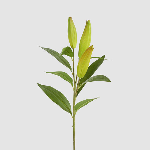 Artificial Lily Bud Stem 96cm Green - FLORA DESIGNS