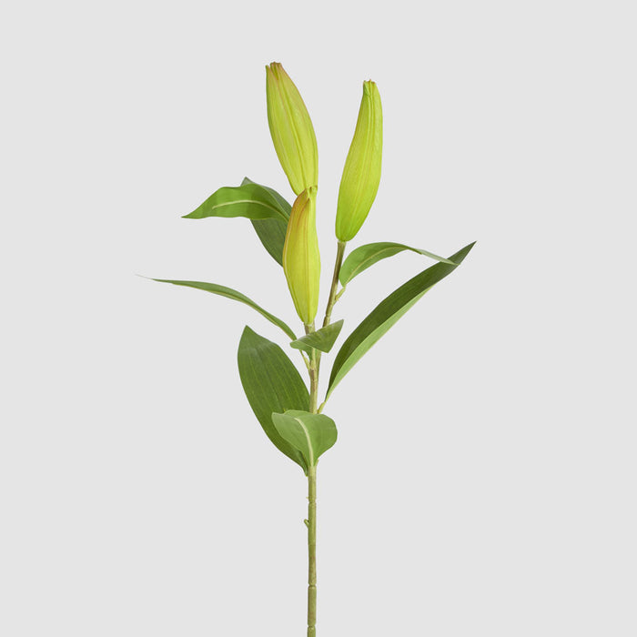 Artificial Lily Bud Stem 96cm Green - FLORA DESIGNS