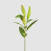 Artificial Lily Bud Stem 96cm Green - FLORA DESIGNS