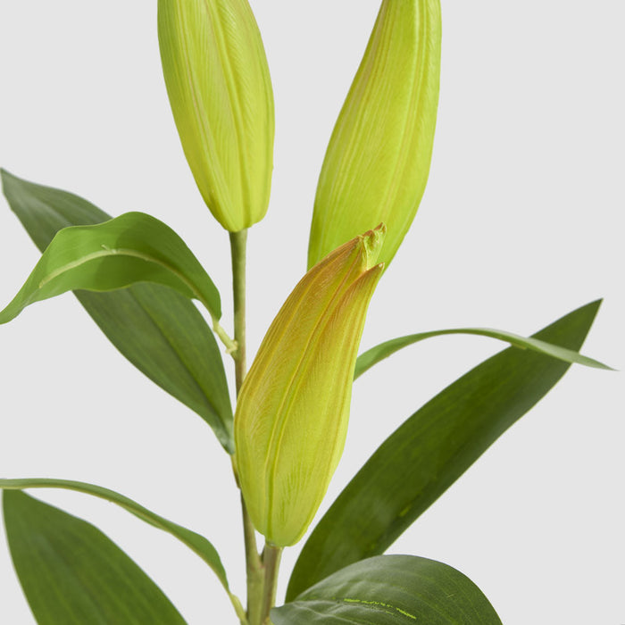 Artificial Lily Bud Stem 96cm Green - FLORA DESIGNS