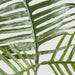 Artificial Philodendron Tortum Leaf Spray 81cm Green - FLORA DESIGNS