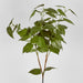 Artificial Garden Lilac Leaf Spray 74cm Green - FLORA DESIGNS
