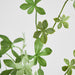 Artificial Ekianthus Leaf Spray 88cm Green - FLORA DESIGNS