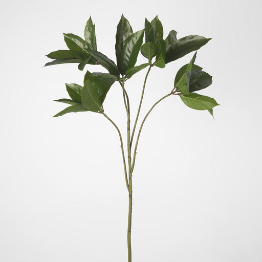 Artificial Frangipani Leaf Spray 84cm Green - FLORA DESIGNS