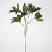 Artificial Frangipani Leaf Spray 84cm Green - FLORA DESIGNS