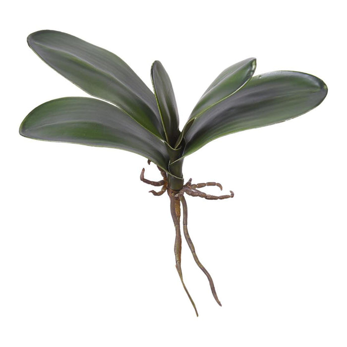 Artificial Phalaenopsis Orchid Leaf Green 22cm Green - FLORA DESIGNS