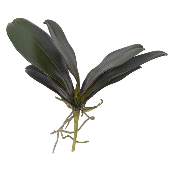 Artificial Phalaenopsis Orchid Leaf Green 34cm Green - FLORA DESIGNS