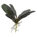 Artificial Phalaenopsis Orchid Leaf Green 34cm Green - FLORA DESIGNS
