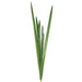 Artificial Orchid Leaf Cluster Green 1.07m Green - FLORA DESIGNS