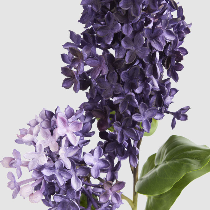 Artificial Real Touch Lilac Floral Stem Purple 71cm Purple - FLORA DESIGNS