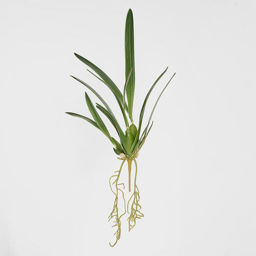Artificial Spider Orchid Leaf W Roots Green 65cm Green - FLORA DESIGNS