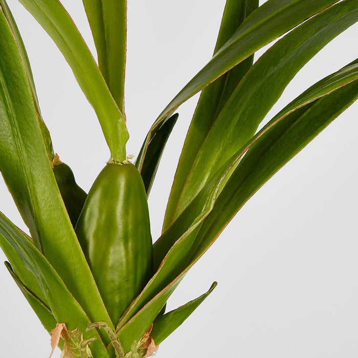 Artificial Spider Orchid Leaf W Roots Green 65cm Green - FLORA DESIGNS