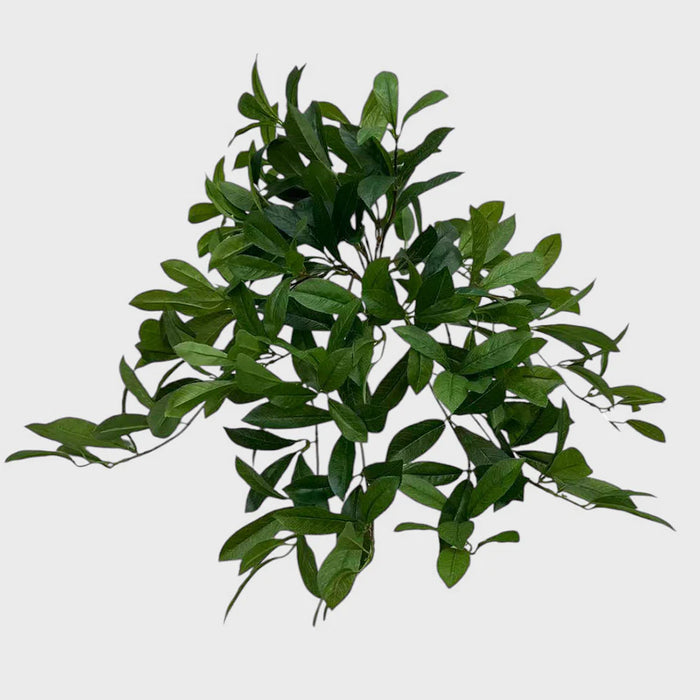 Laurel Leaf Hanging Bush 66cm Pack of 2