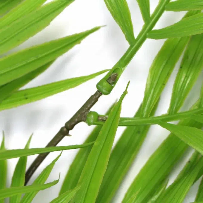 Artificial Hanging Fresh Green Bamboo Leaf Fern UV Resistant 80cm Set of 2