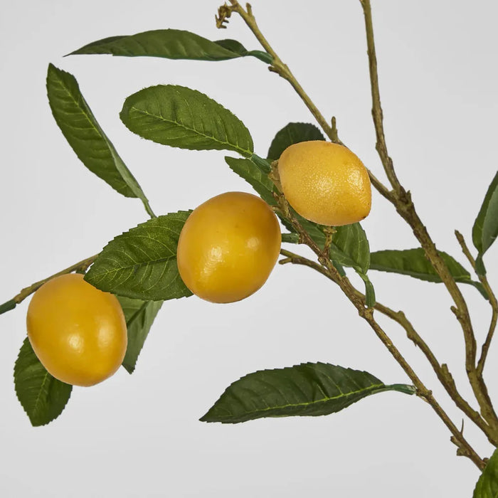 Lemon Stem With Fruits 98cm Pack of 16