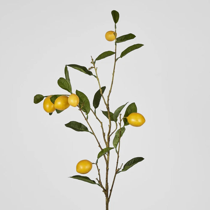 Lemon Stem With Fruits 98cm Pack of 16