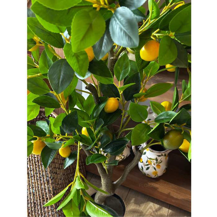 Lemon Tree 120cm