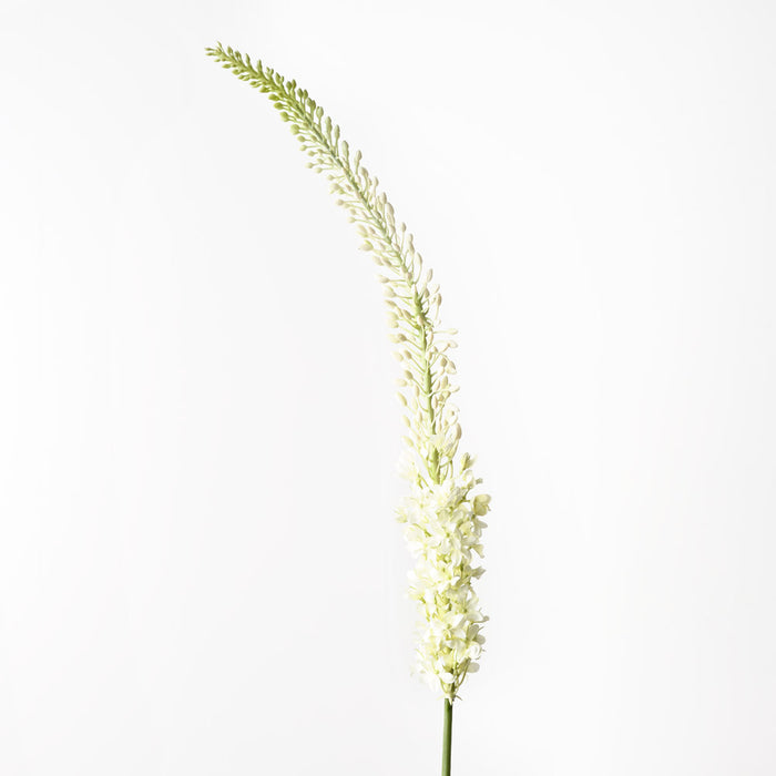 Lily Foxtail Cream Green 130cm - Pack of 12