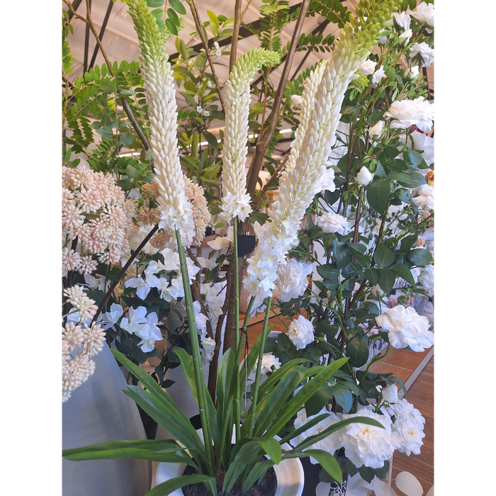 Lily Foxtail Plant White 105cm