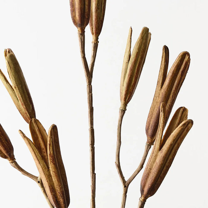 Lily Seed Pod Spray 78cm Brown Green- Pack of 12