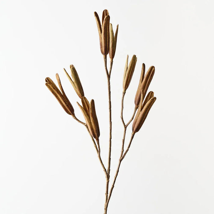 Lily Seed Pod Spray 78cm Brown Green- Pack of 12