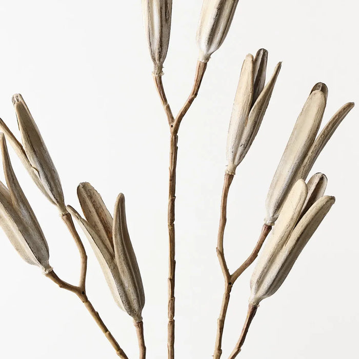 Lily Seed Pod Spray 78cm Sand Wash- Pack of 12
