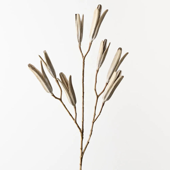 Lily Seed Pod Spray 78cm Sand Wash- Pack of 12