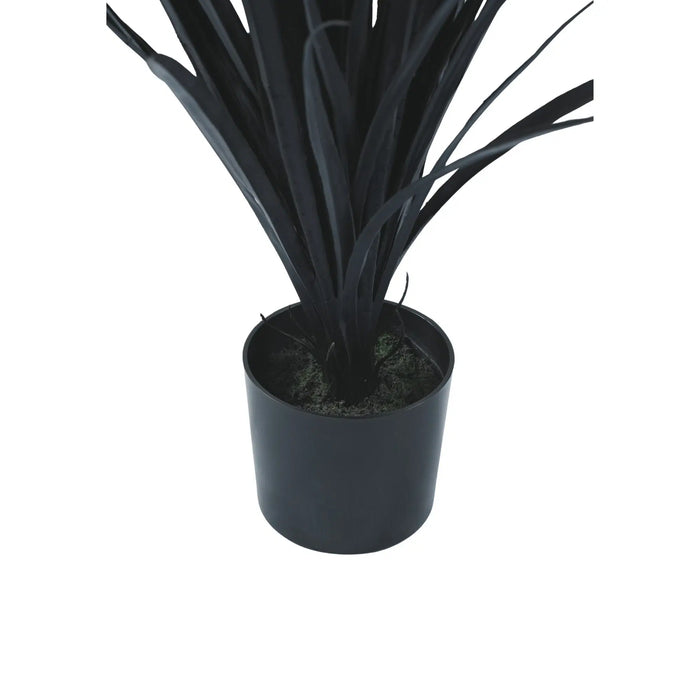Long Yucca Grass Plant UV Resistant 75cm Black