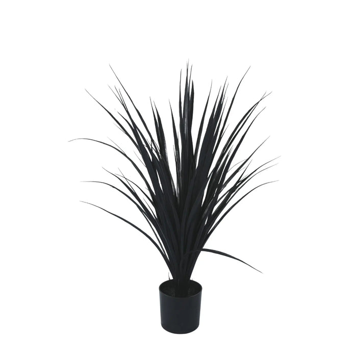 Long Yucca Grass Plant UV Resistant 75cm Black