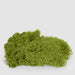 Artificial Bagged Moss 40cm Green - FLORA DESIGNS