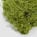 Artificial Bagged Moss 40cm Green - FLORA DESIGNS