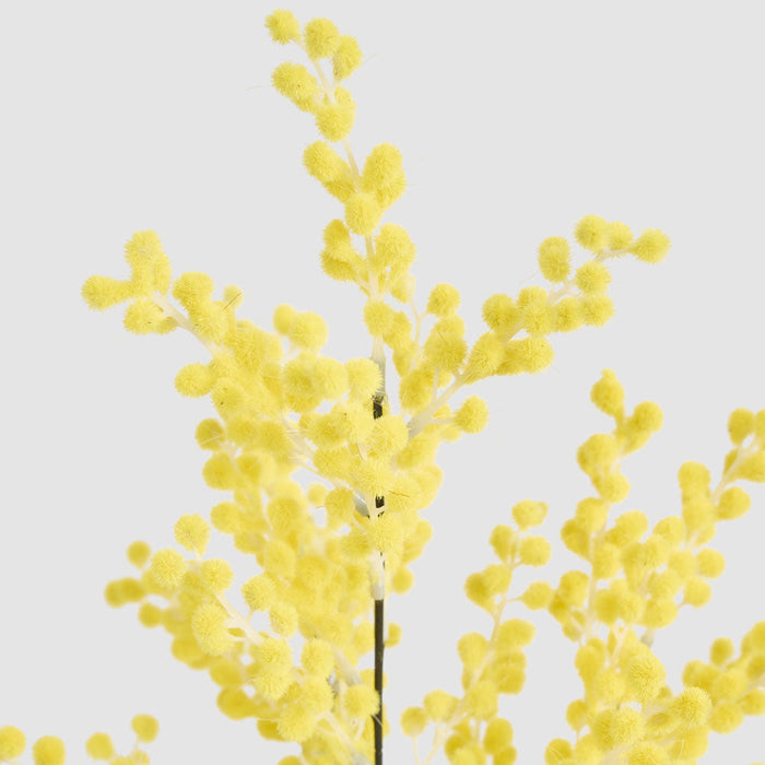 Artificial Mimosa Spray 78Cm 78cm Yellow - FLORA DESIGNS