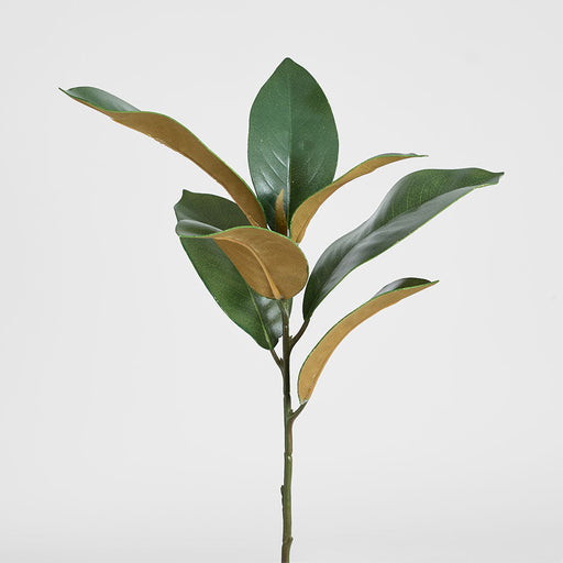 Artificial Magnolia Real Touch Leaf Spray 56cm Green - FLORA DESIGNS