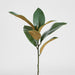 Artificial Magnolia Real Touch Leaf Spray 56cm Green - FLORA DESIGNS
