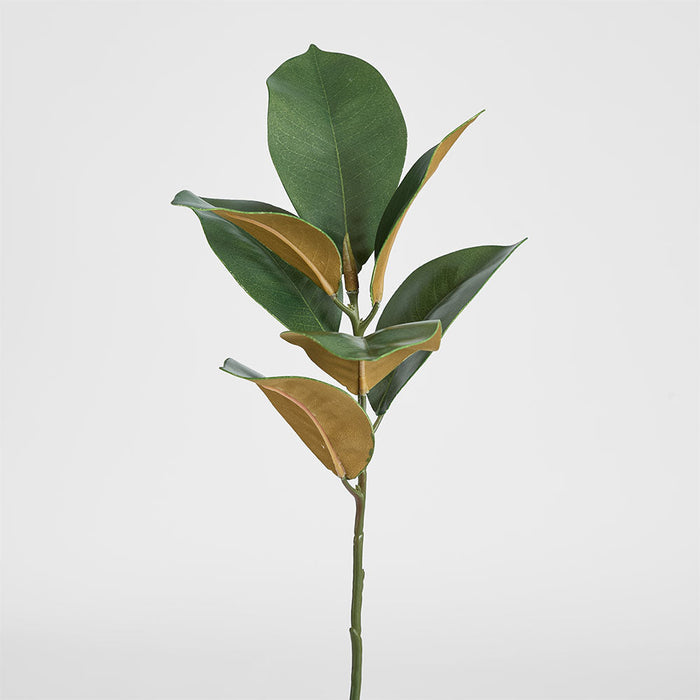 Artificial Magnolia Real Touch Leaf Spray 56cm Green - FLORA DESIGNS