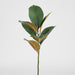 Artificial Magnolia Real Touch Leaf Spray 56cm Green - FLORA DESIGNS