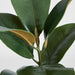 Artificial Magnolia Real Touch Leaf Spray 56cm Green - FLORA DESIGNS