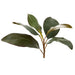 Artificial Magnolia Leaf Spray Green 28cm Green - FLORA DESIGNS