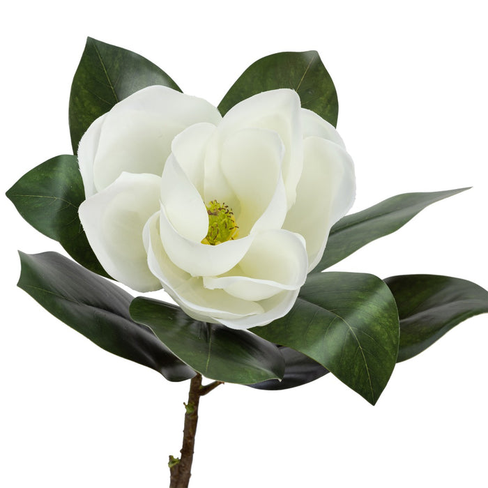 Magnolia Flower Real Touch 70cm White Set of 12