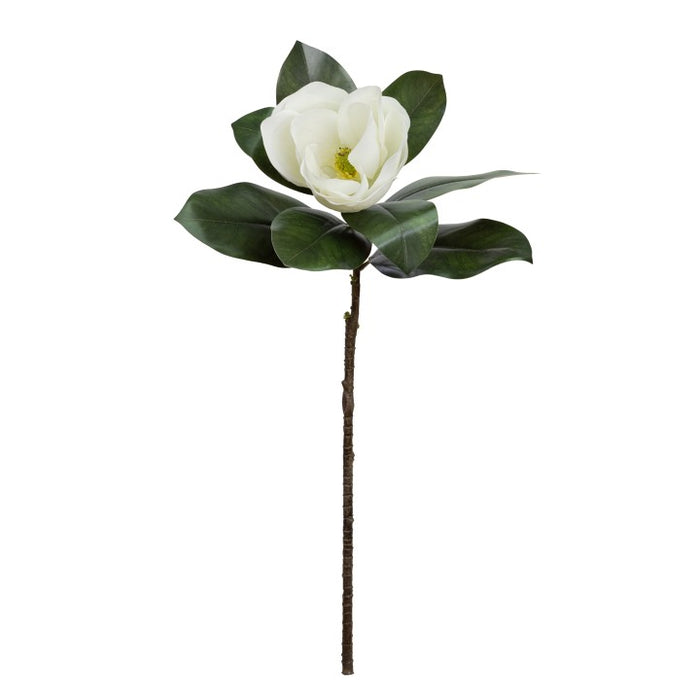 Magnolia Flower Real Touch 70cm White Set of 12