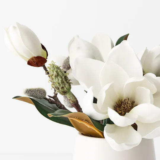 Magnolia Japanese Mix In Pot 23cm White