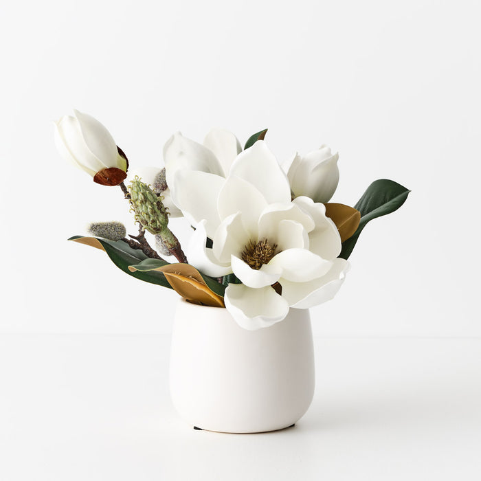 Magnolia Japanese Mix In Pot 23cm White