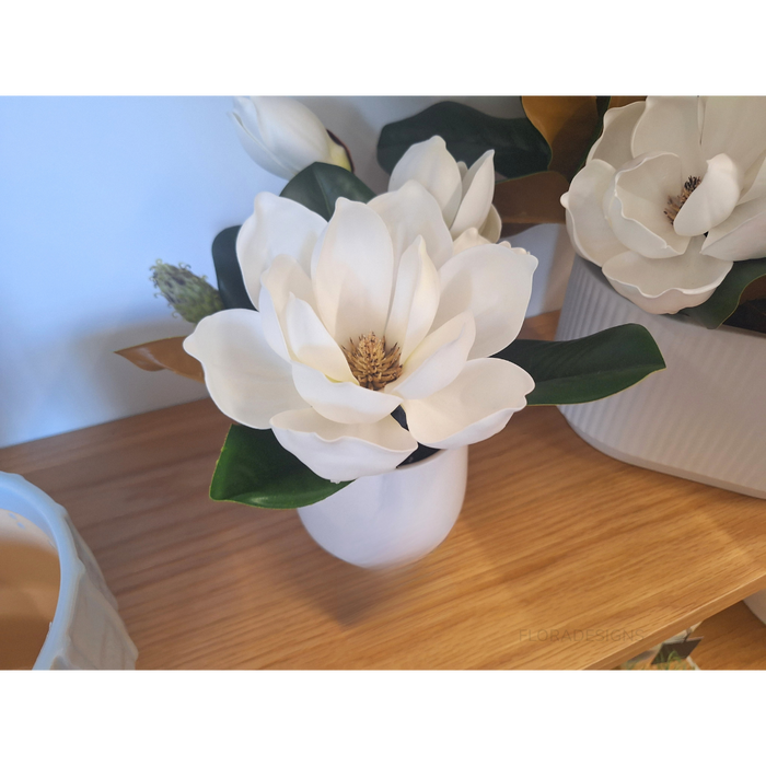 Magnolia Japanese Mix In Pot 23cm White