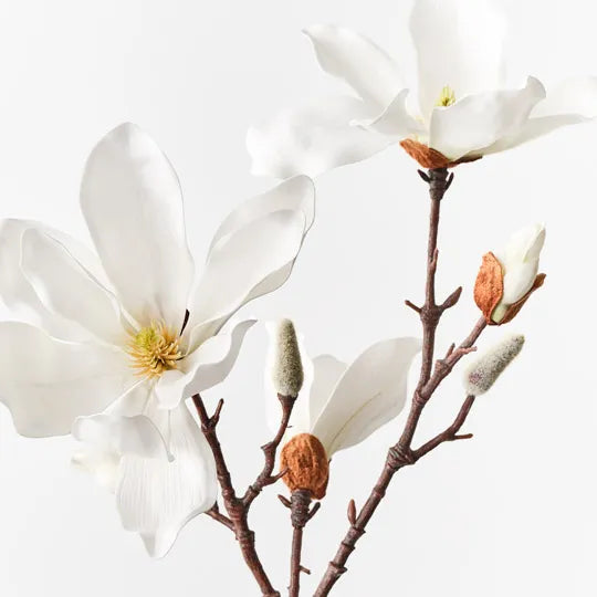 Magnolia Japanese Spray White 78cm - Pack of 12