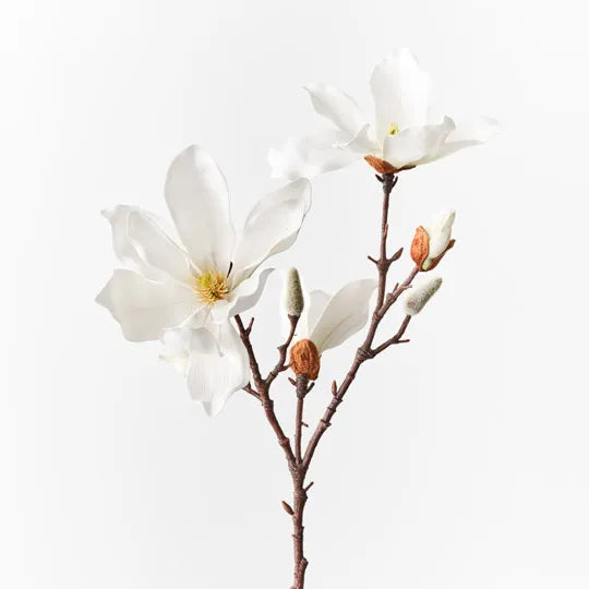 Magnolia Japanese Spray White 78cm - Pack of 12