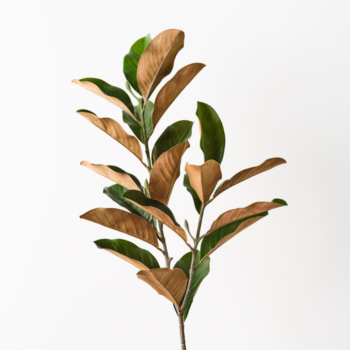 Magnolia Leaf Spray 110cm Green Pack of 12