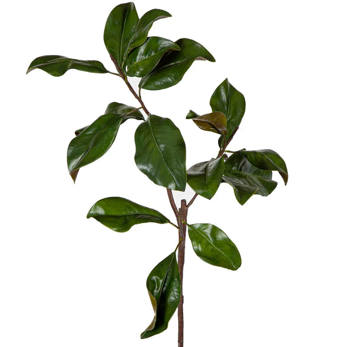 Magnolia Leaves Green 90cm