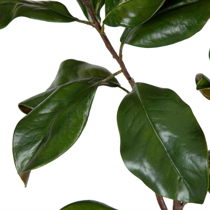 Magnolia Leaves Green 90cm