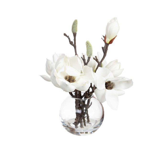 Magnolia Spray in Fishbowl Vase 25cm White