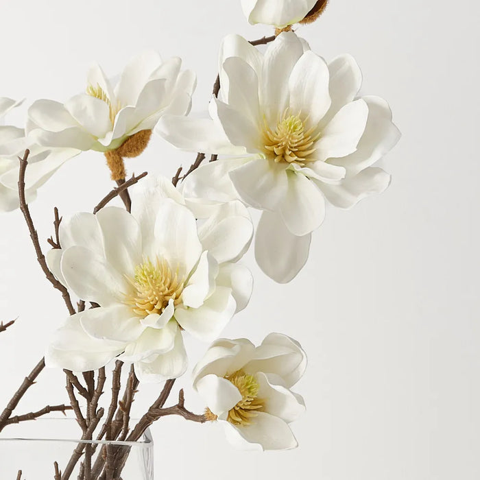 Magnolia Tree Mix in Vase White 42cm